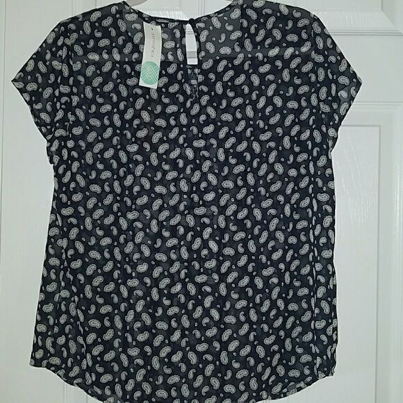 Stitch Fix Collection Concept sheer top Sz M  NWT - Picture 5 of 5